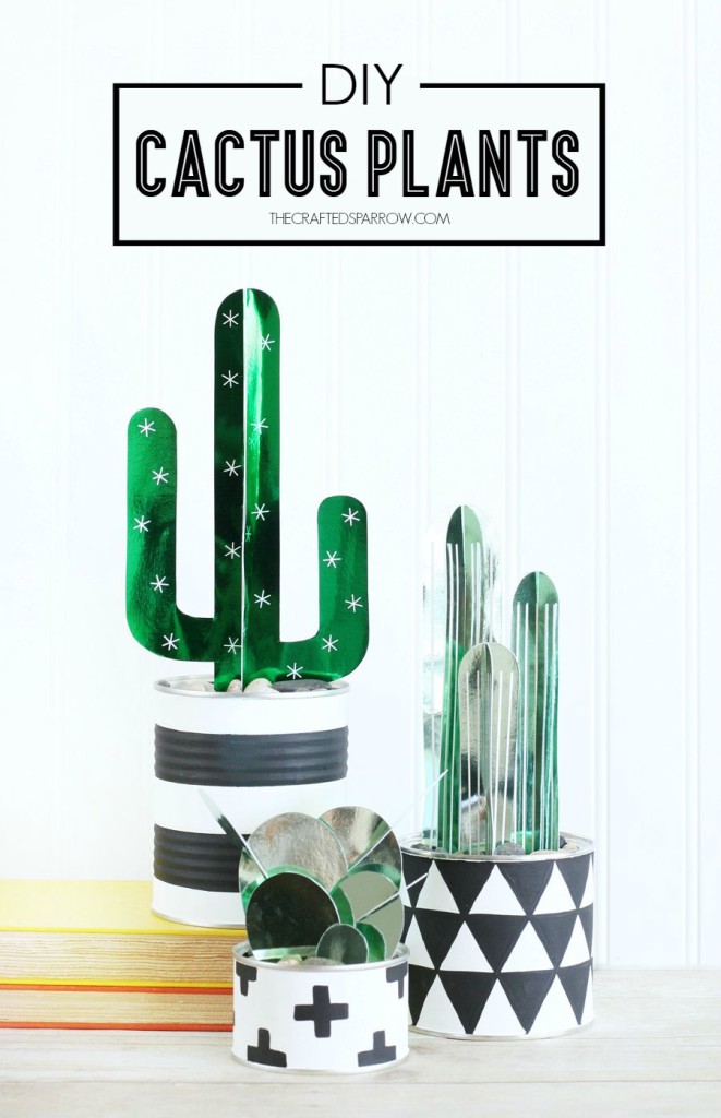 DIY-Cactus-Plants